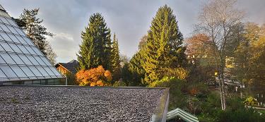 Jesen v botaničnem vrtu Jesen v botaničnem vrtu